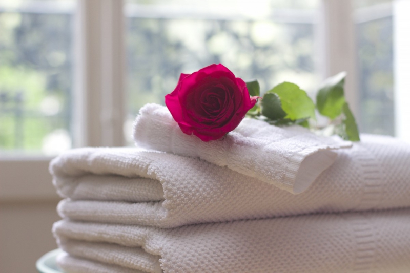 chambre-hote-ST RAPHAEL-min_towel_rose_clean_care_salon_spa_white_bath-731641